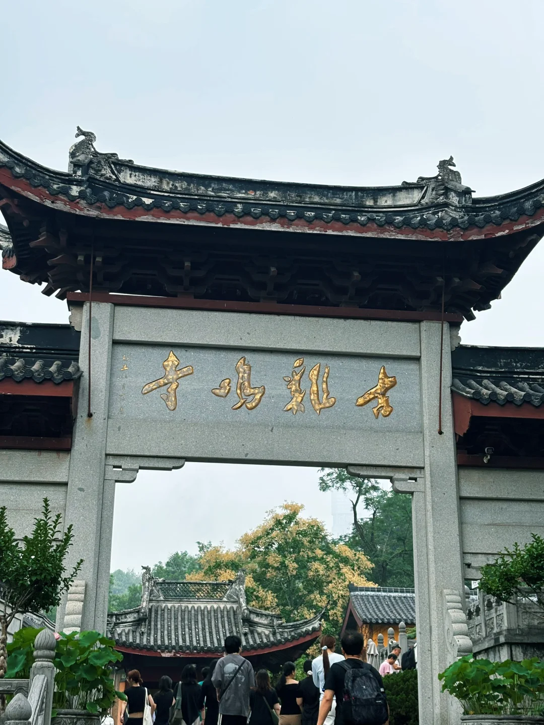 南京｜𝐂𝐢𝐭𝐲 𝐖𝐚𝐥𝐤🚶‍♀️