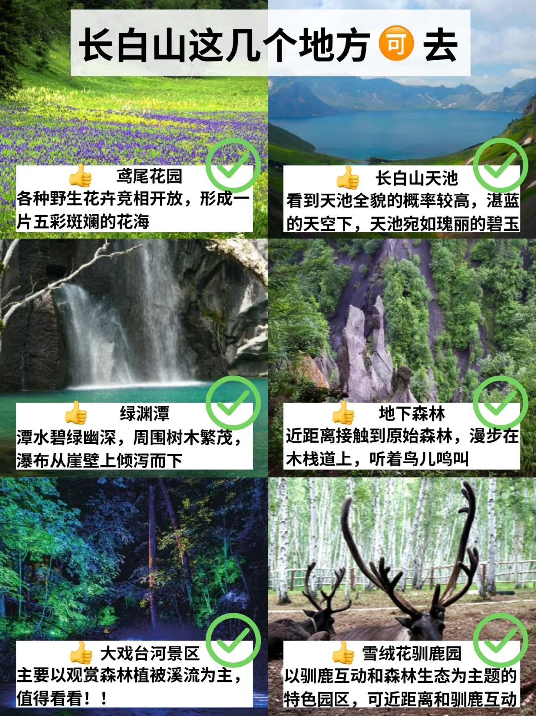 7.30📍长白山刚回，后悔没带的东西……