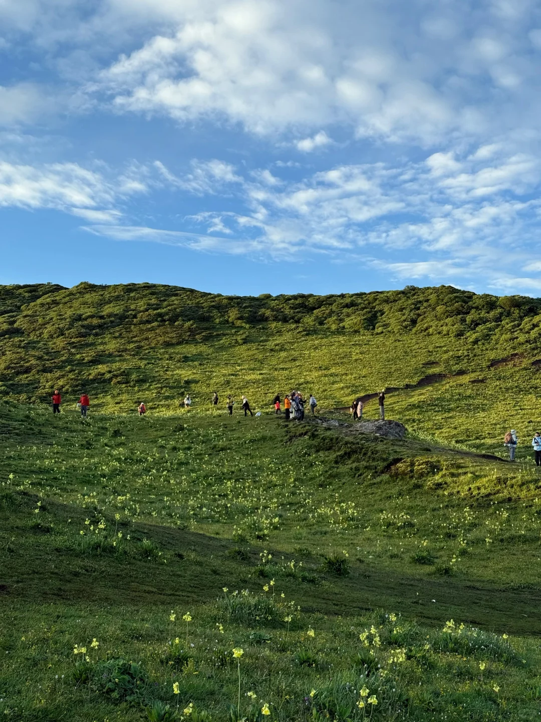 九顶山2天1夜！人均300+玩转云海花海！