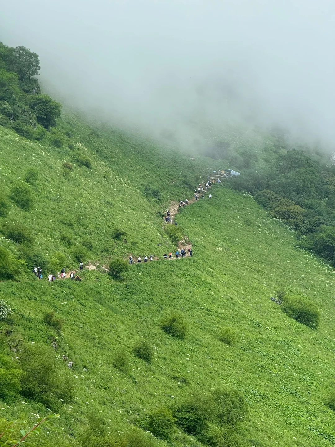 九顶山2天1夜！人均300+玩转云海花海！
