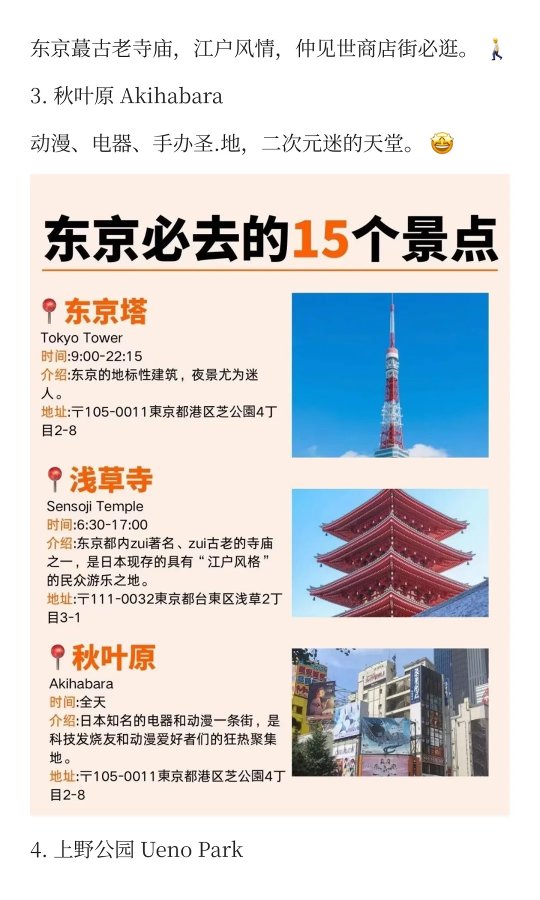 东京自由行必去❗15个热门景点完整攻略