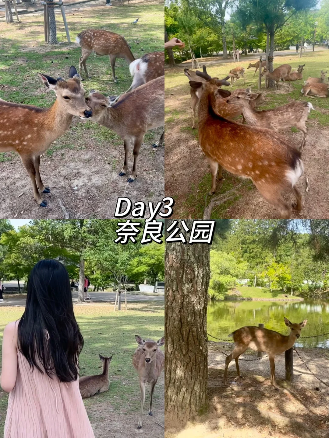 🛫第一次去日本，这些地方必去（一）