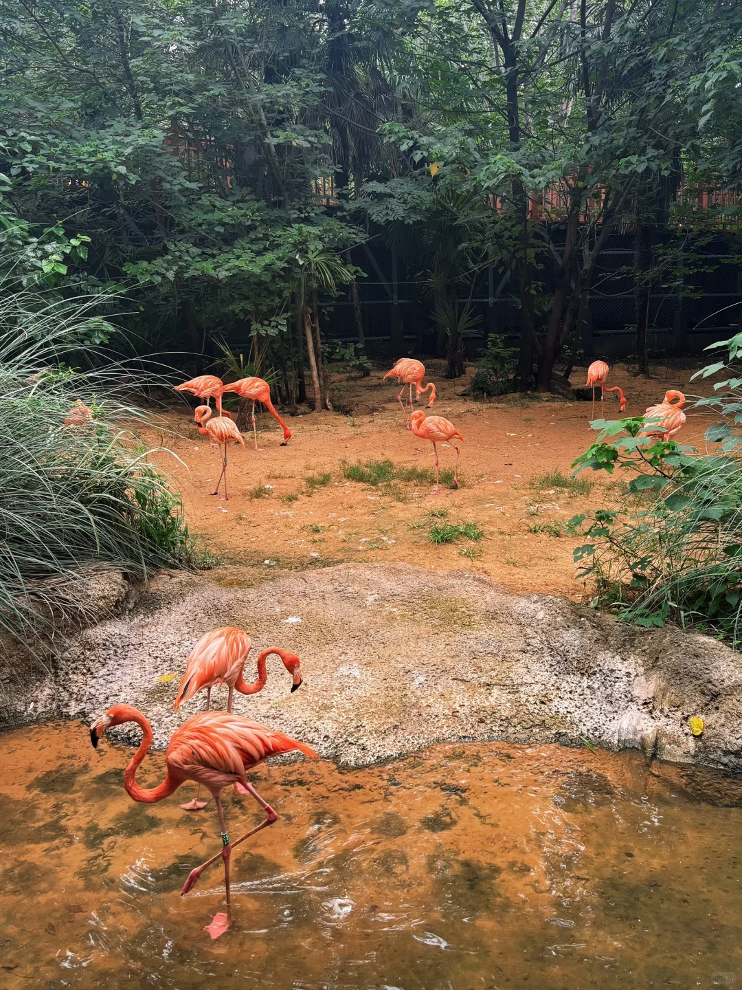 南京｜𝐂𝐢𝐭𝐲 𝐖𝐚𝐥𝐤🚶‍♀️