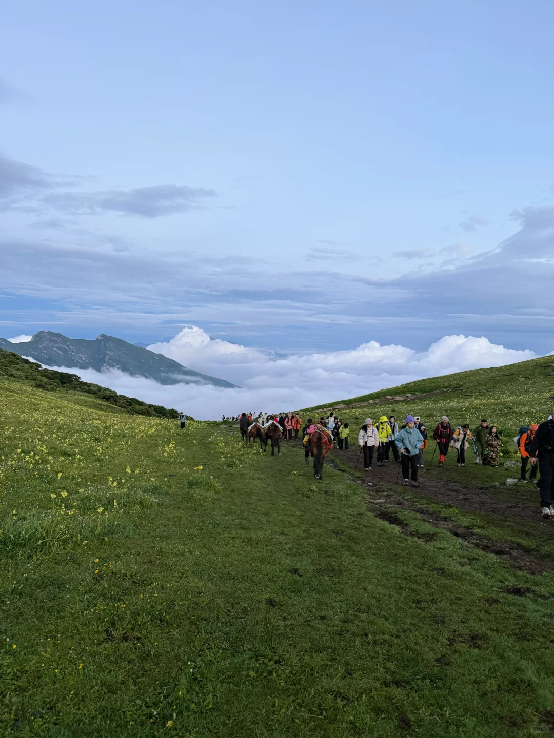 九顶山2天1夜！人均300+玩转云海花海！