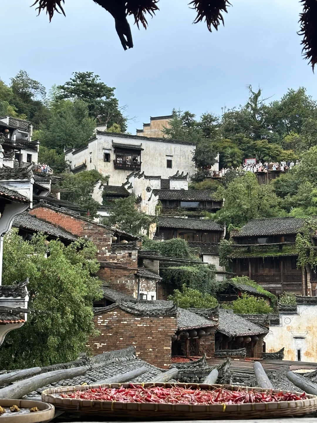 非常满意的江西旅游攻略:7天4城