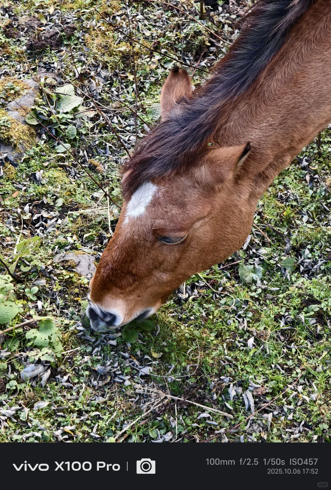 一个星期了怎么还在回味