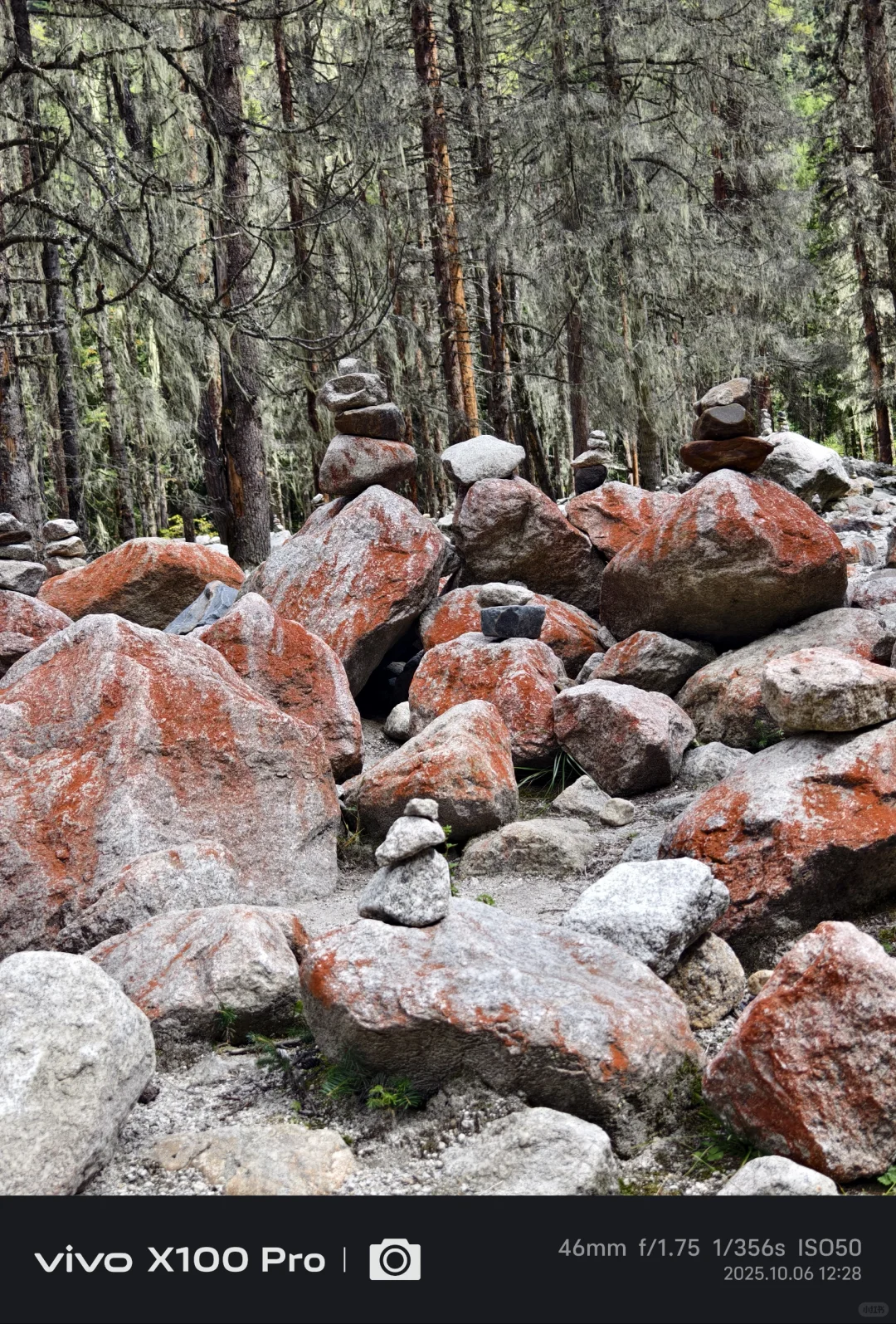 一个星期了怎么还在回味