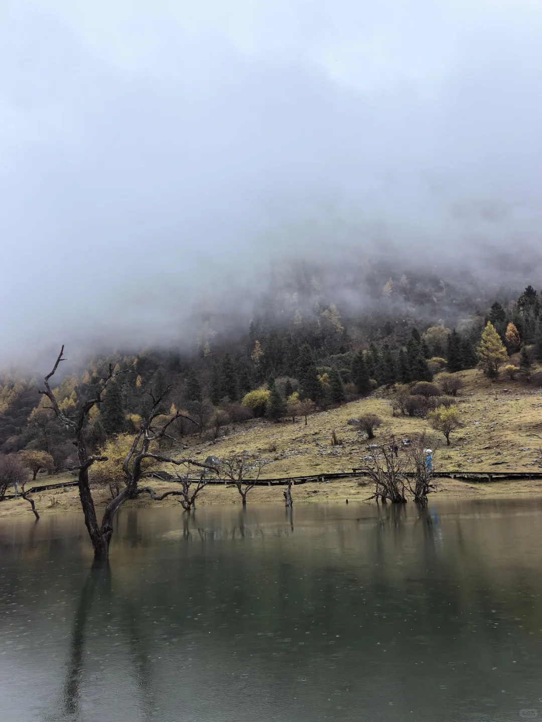 十月底都给我冲四姑娘山!