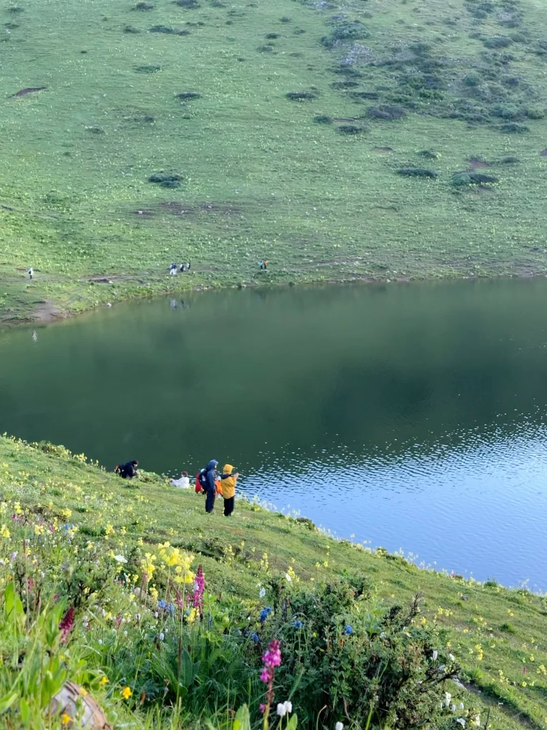 九顶山2天1夜！人均300+玩转云海花海！