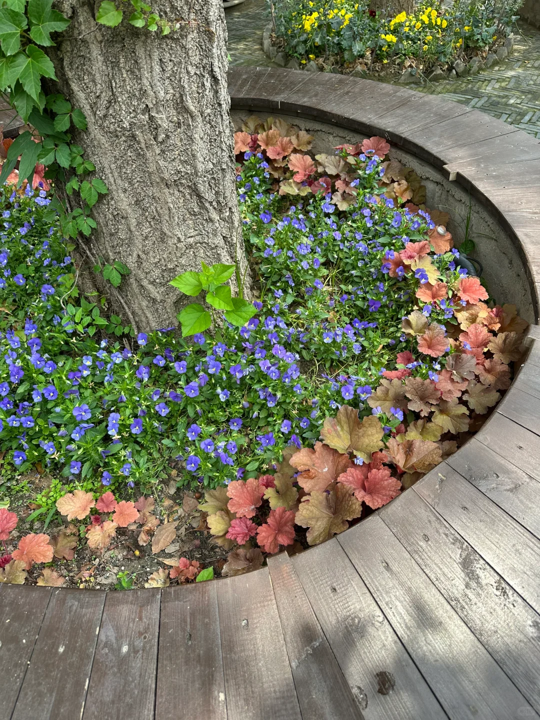 淮安：河下古镇