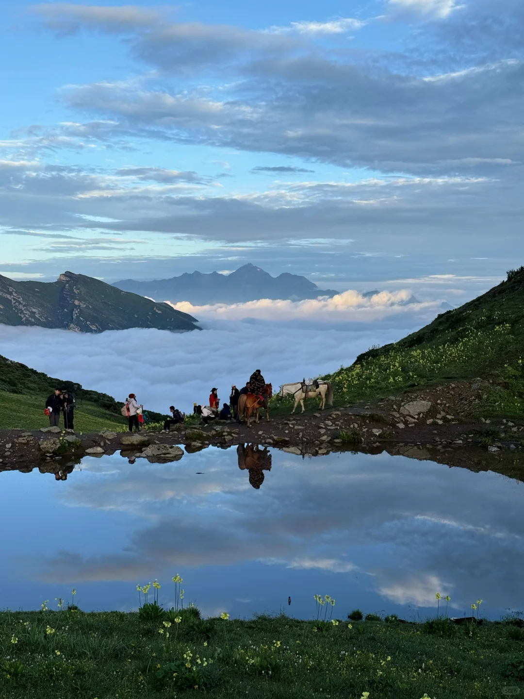九顶山2天1夜！人均300+玩转云海花海！
