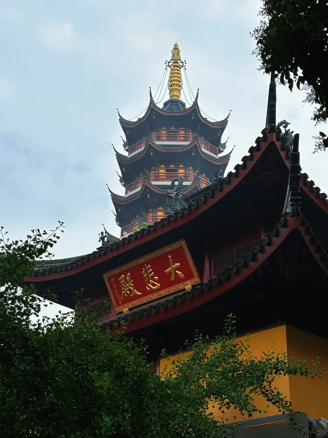 南京｜𝐂𝐢𝐭𝐲 𝐖𝐚𝐥𝐤🚶‍♀️