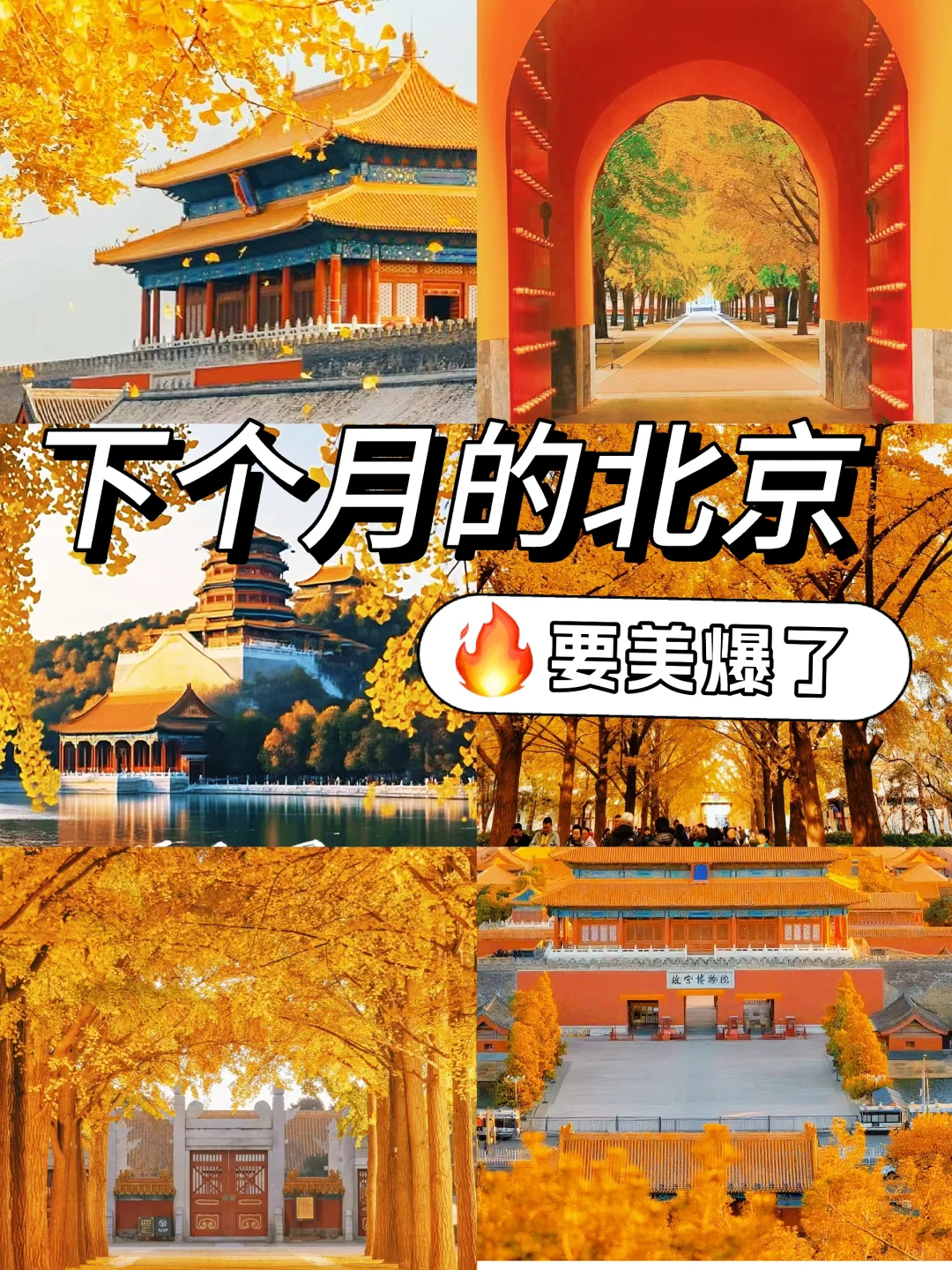 下个月的北京，要美爆了！