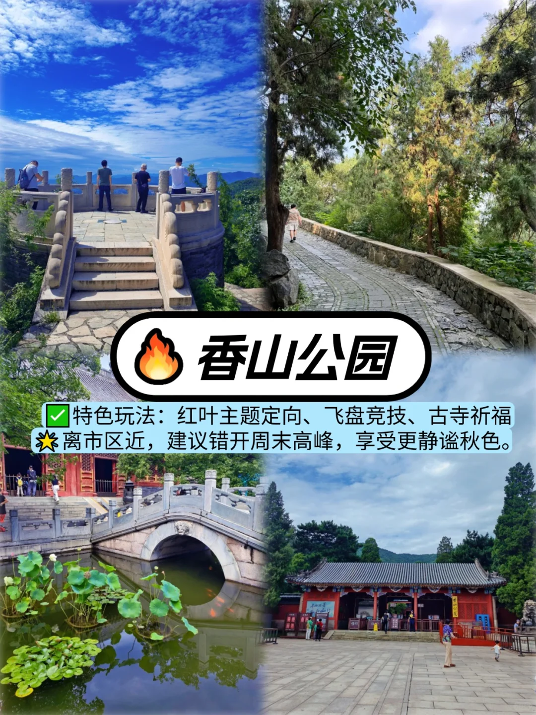 北京秋日团建必看🔥赏秋胜地与创意玩法合集