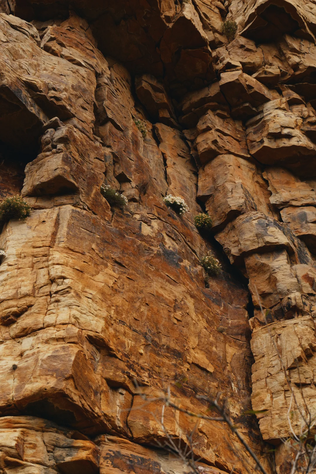 武安奇峡谷徒步