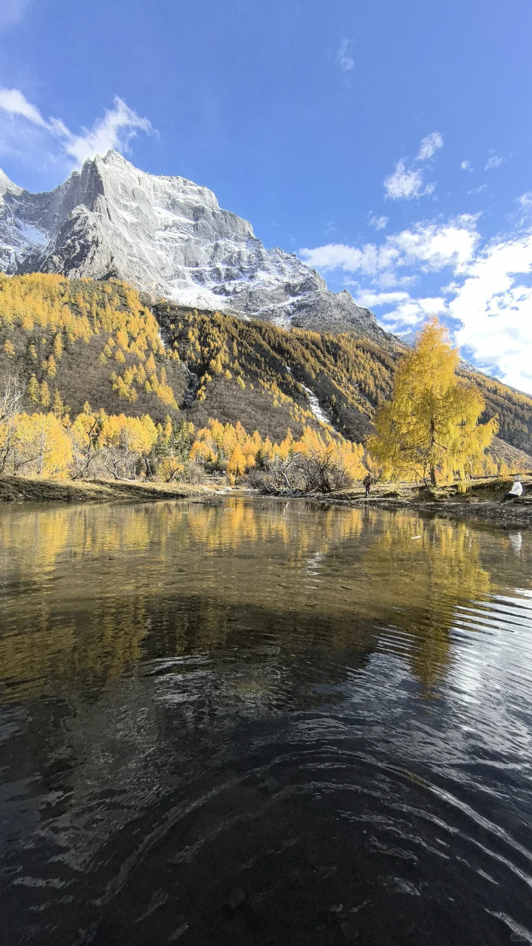 十月底都给我冲四姑娘山!