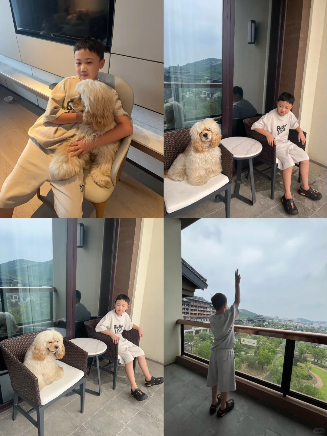 邯郸自驾👉济南｜两天一晚遛娃遛狗vlog