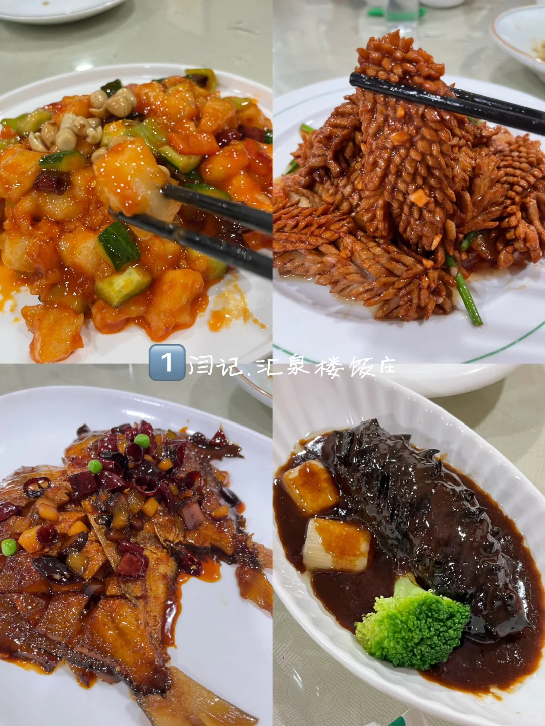 邯郸自驾👉济南｜两天一晚遛娃遛狗vlog