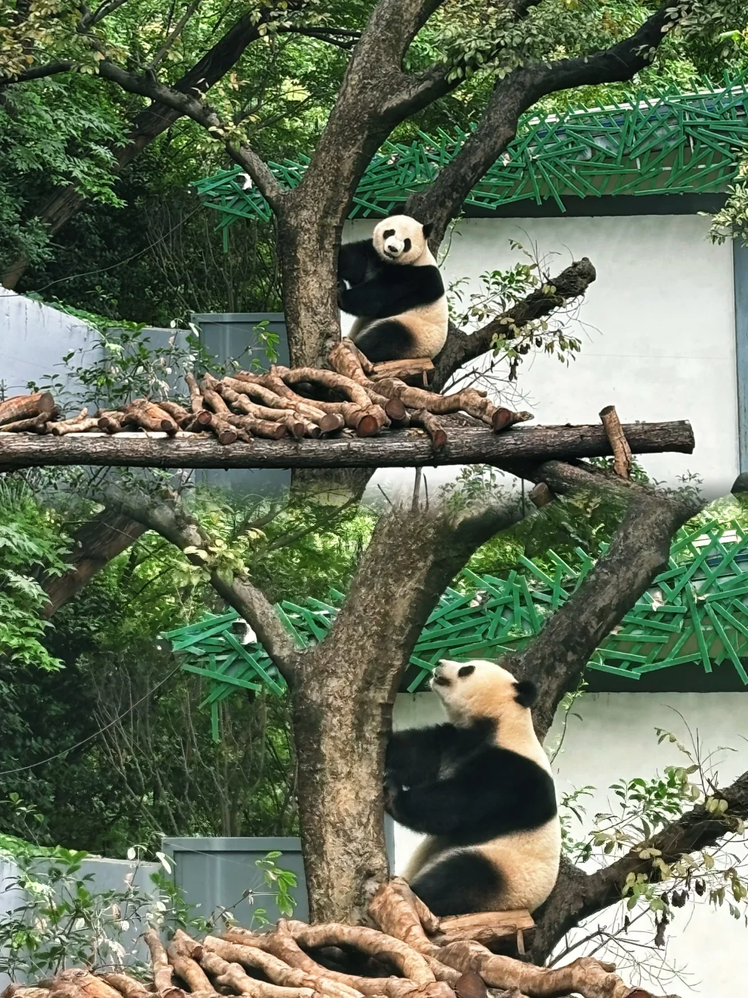 南京｜𝐂𝐢𝐭𝐲 𝐖𝐚𝐥𝐤🚶‍♀️