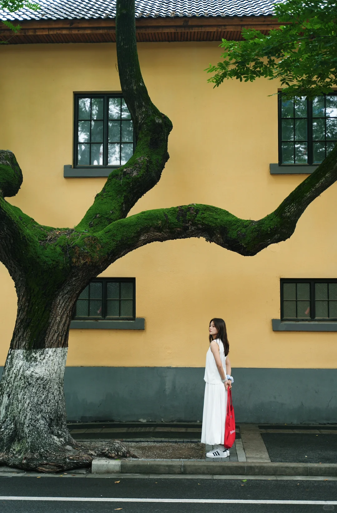 南京｜𝐂𝐢𝐭𝐲 𝐖𝐚𝐥𝐤🚶‍♀️