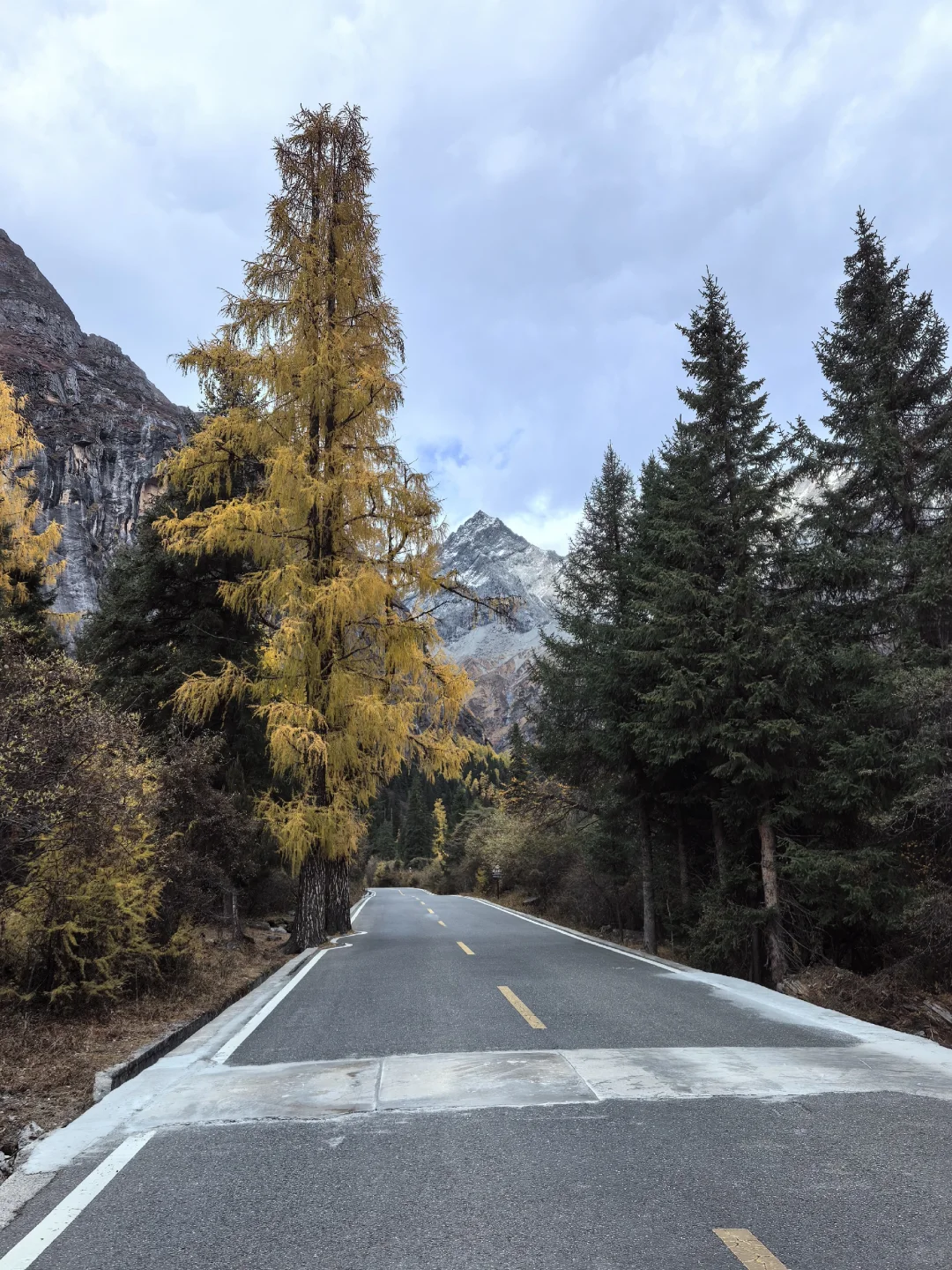 十月底都给我冲四姑娘山!