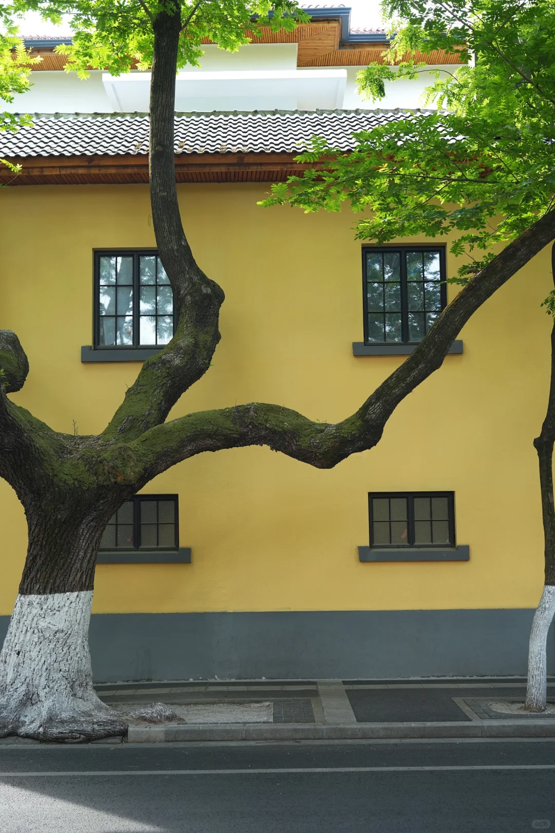 南京｜𝐂𝐢𝐭𝐲 𝐖𝐚𝐥𝐤🚶‍♀️