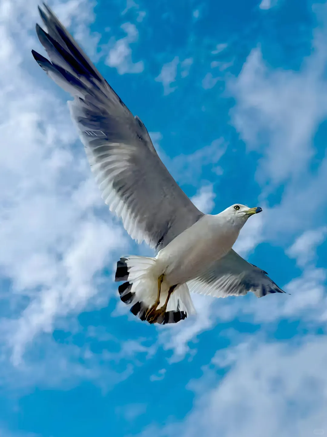 别让“不坏”成为大连旅游的“天花板”