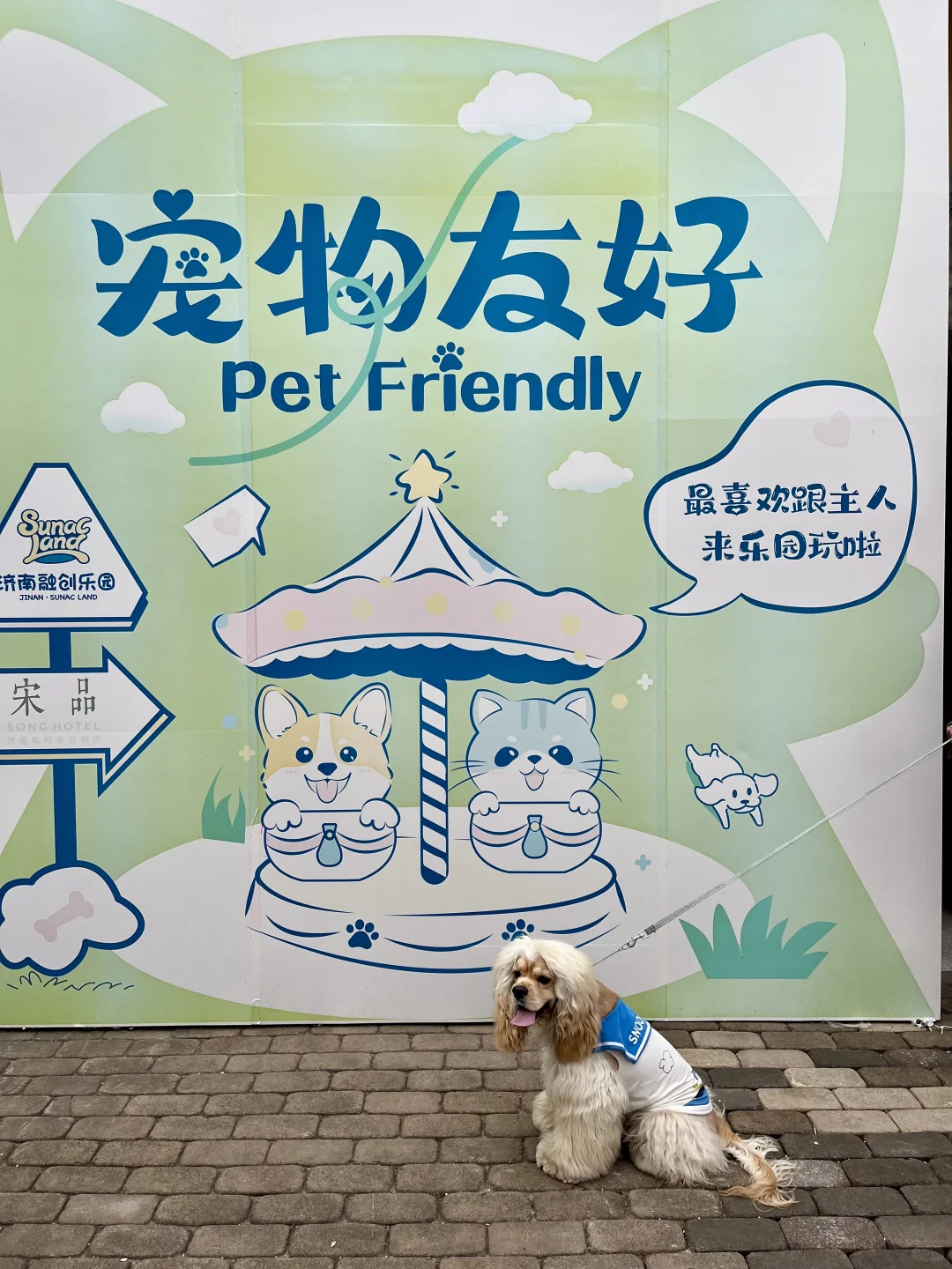 邯郸自驾👉济南｜两天一晚遛娃遛狗vlog