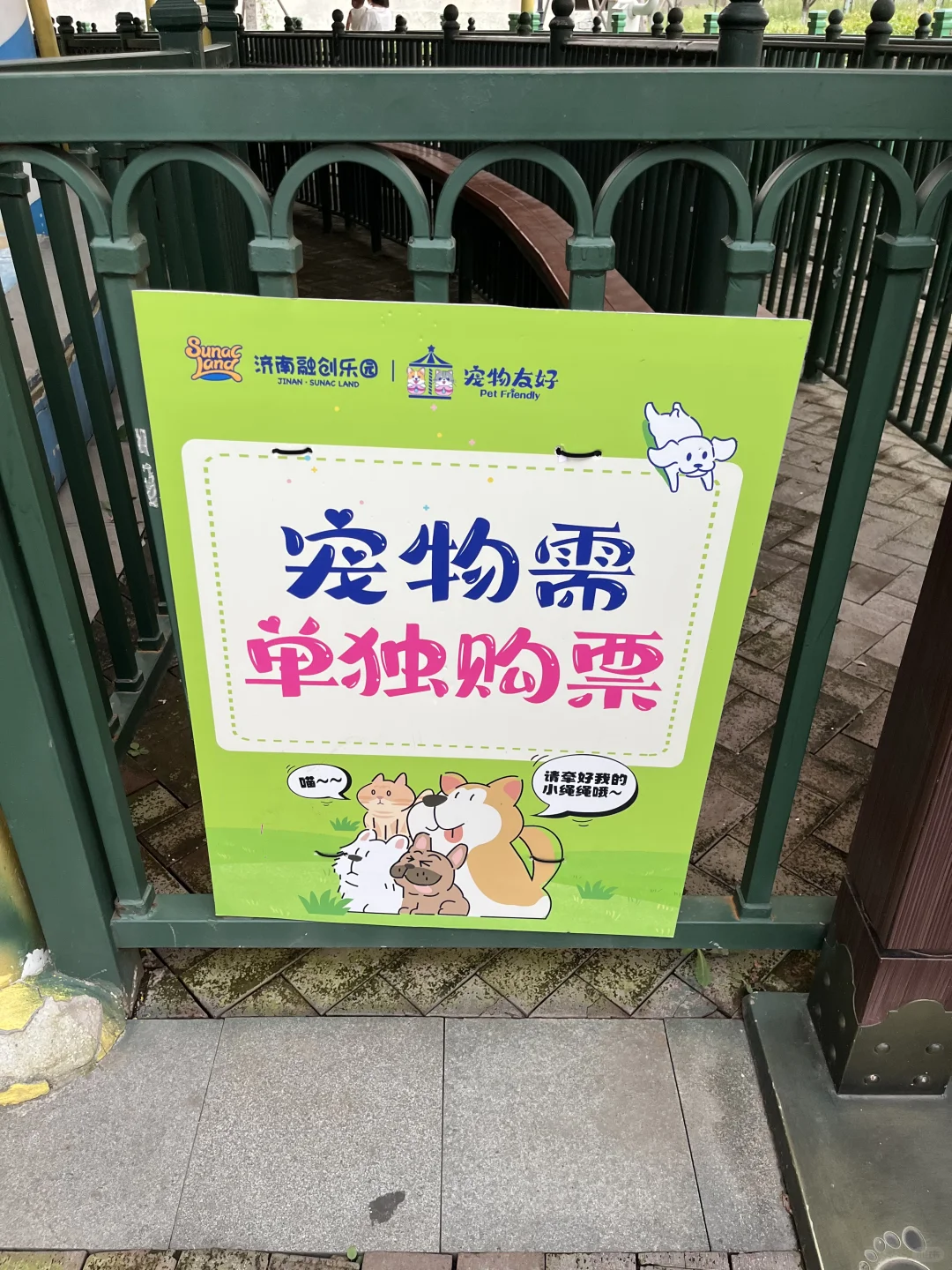 邯郸自驾👉济南｜两天一晚遛娃遛狗vlog