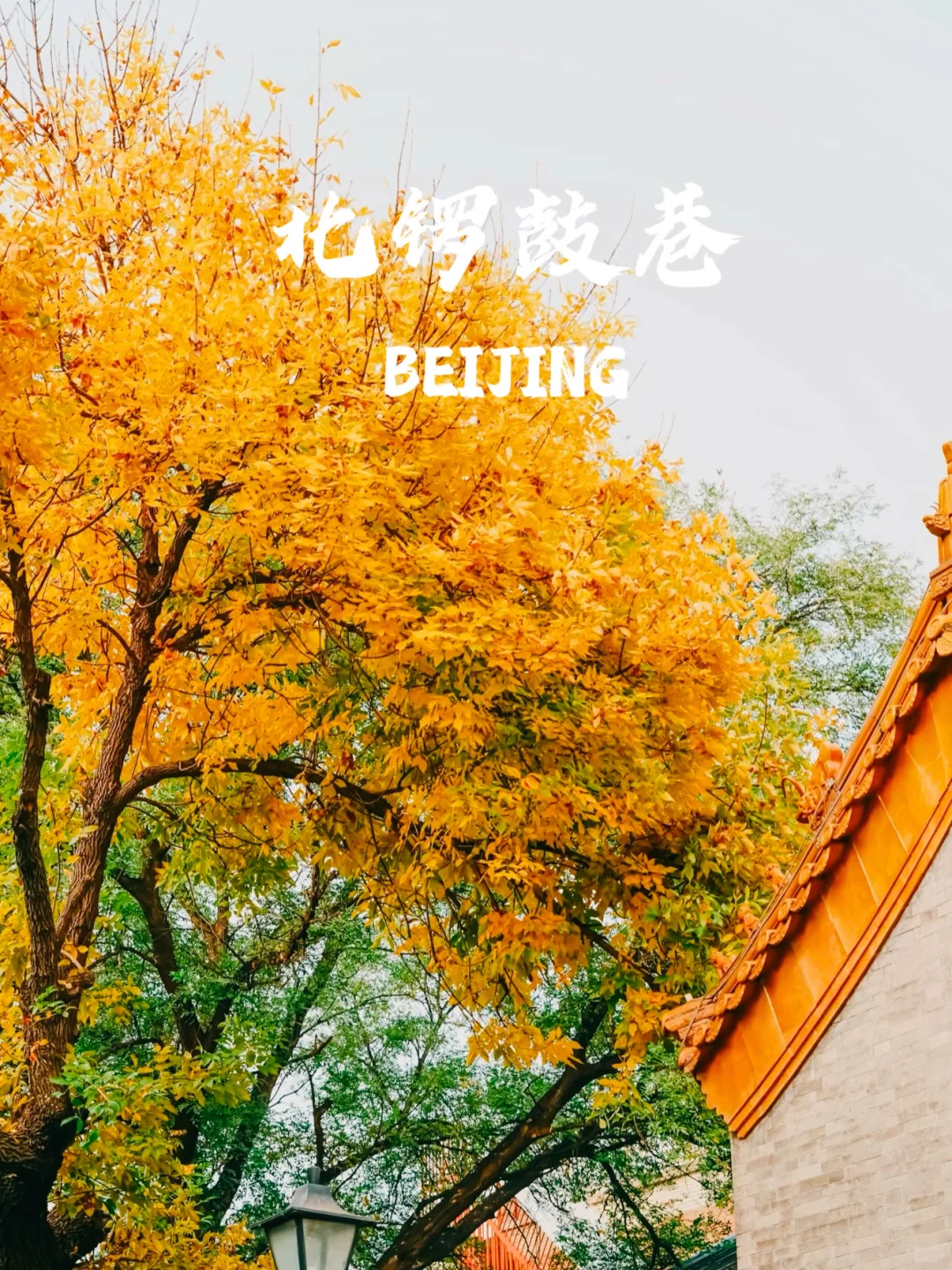 下个月的北京，要美爆了！