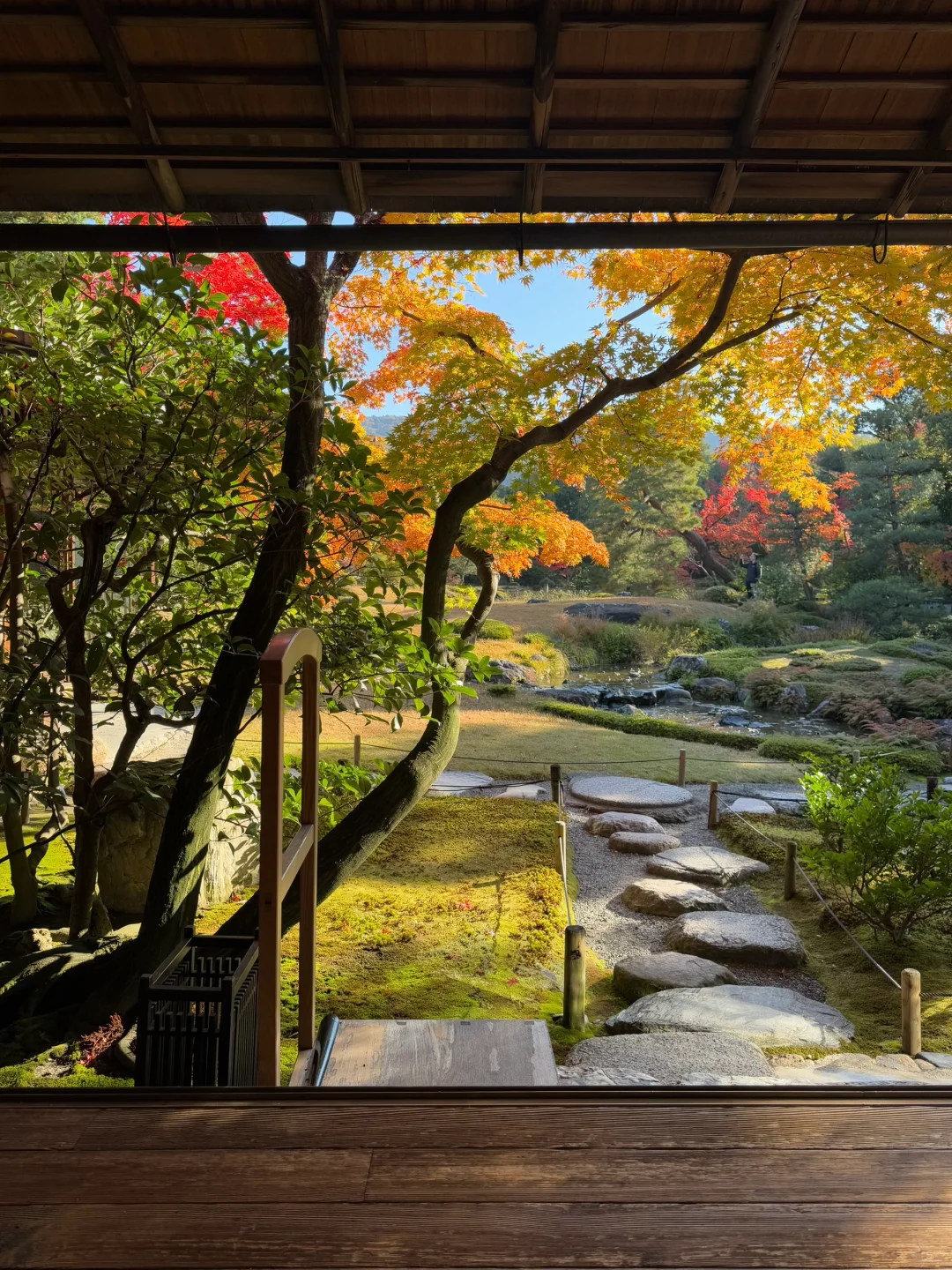 J人朋友做的日本旅行攻略❗️没有比这更全的…