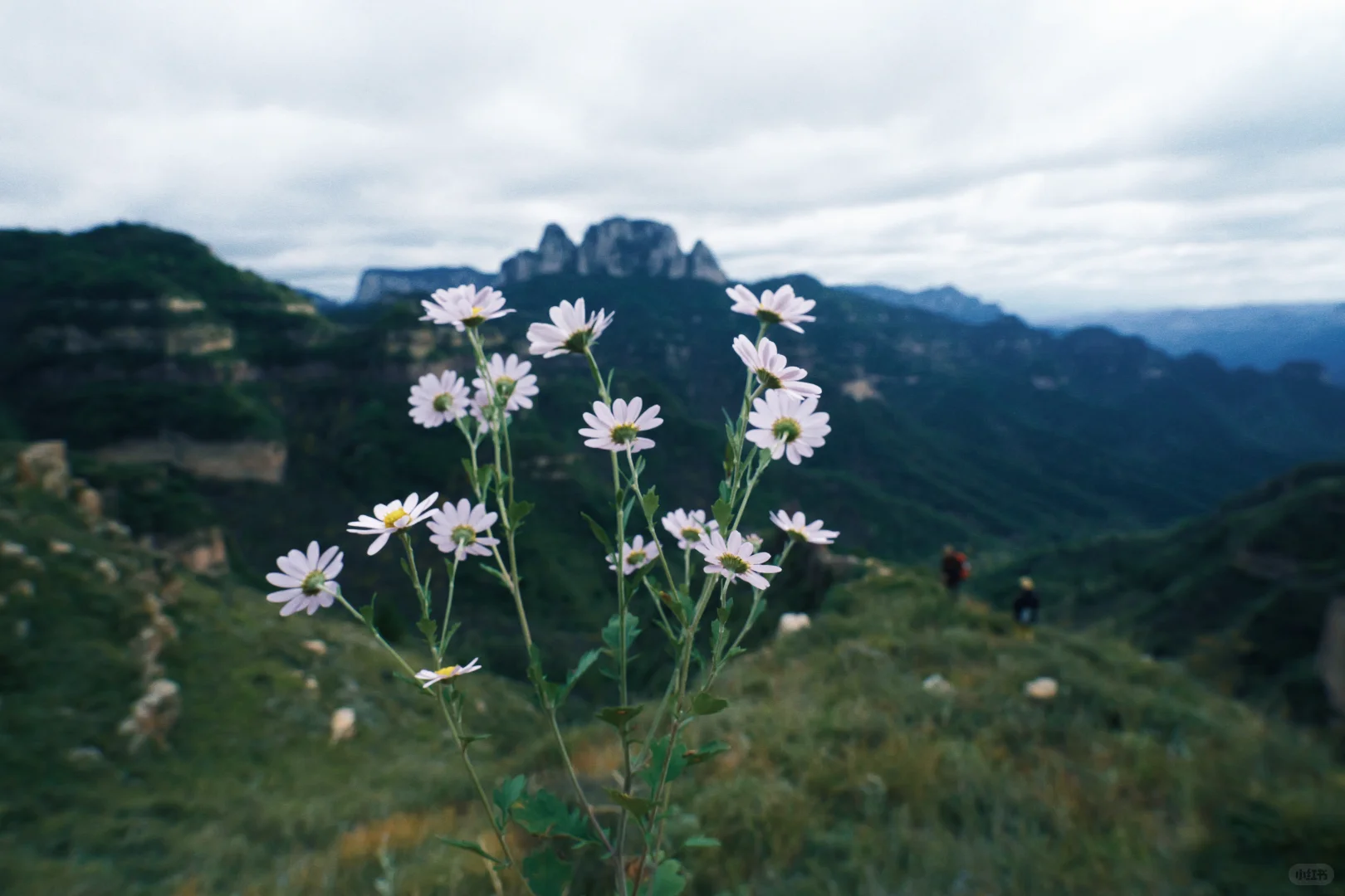 武安奇峡谷徒步