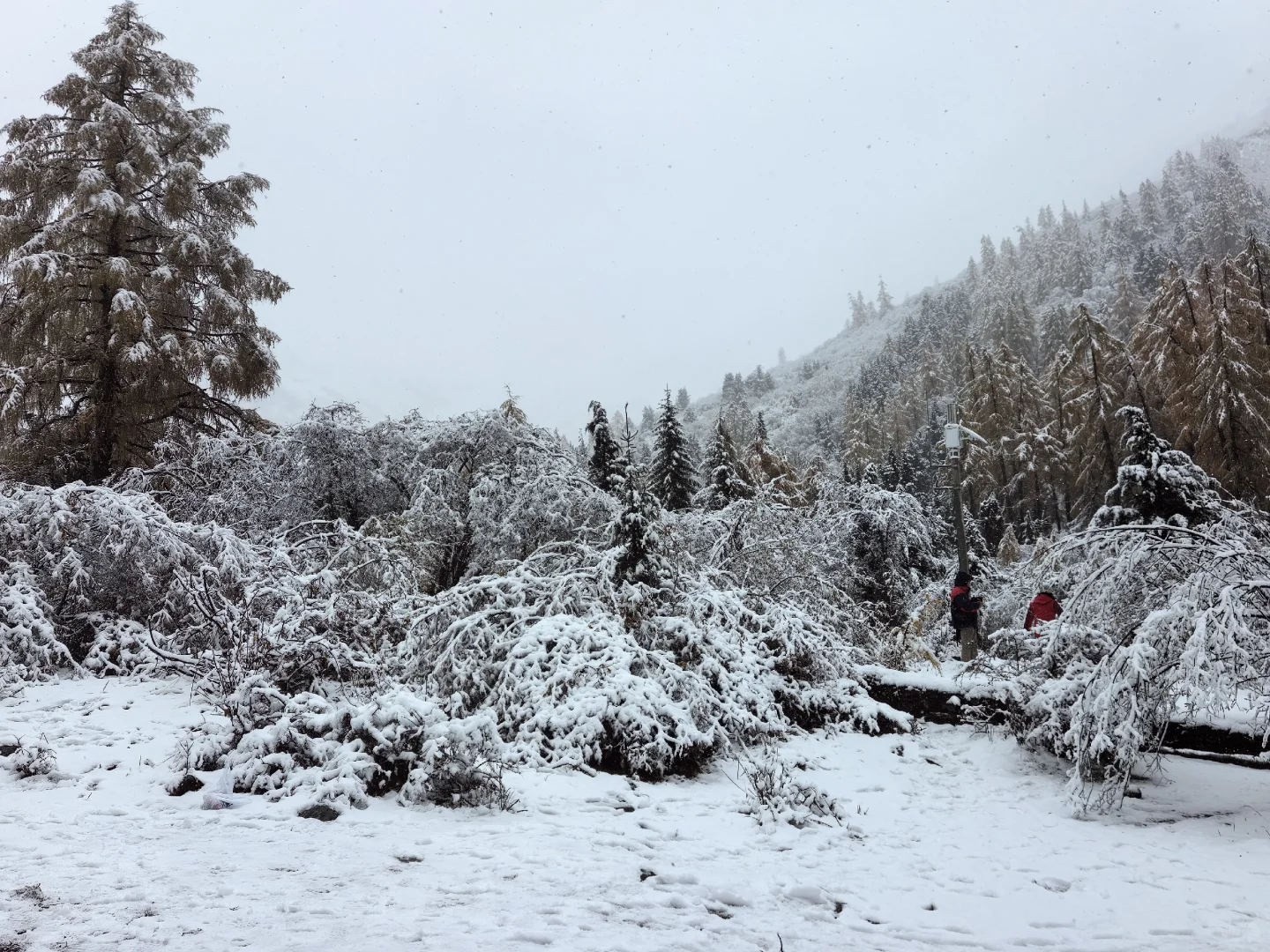 十月底都给我冲四姑娘山!