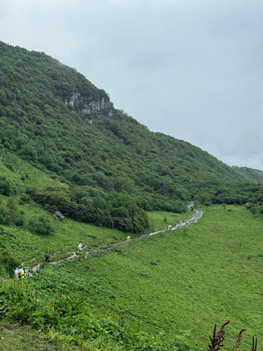 九顶山2天1夜！人均300+玩转云海花海！