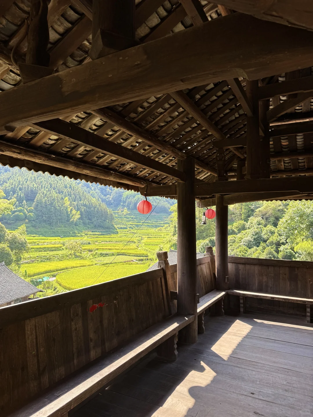 《国家地理》没骗我！！在湖南花的最值的20块钱