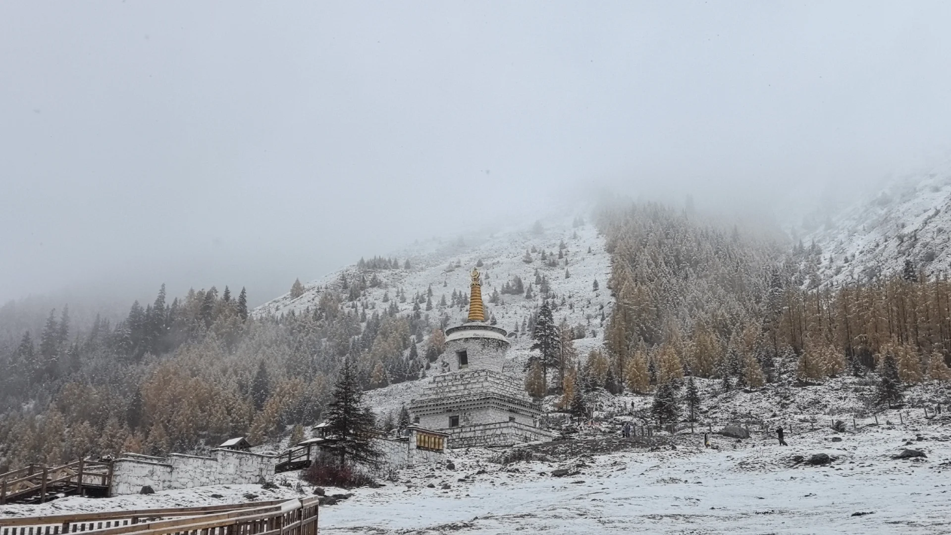 十月底都给我冲四姑娘山!