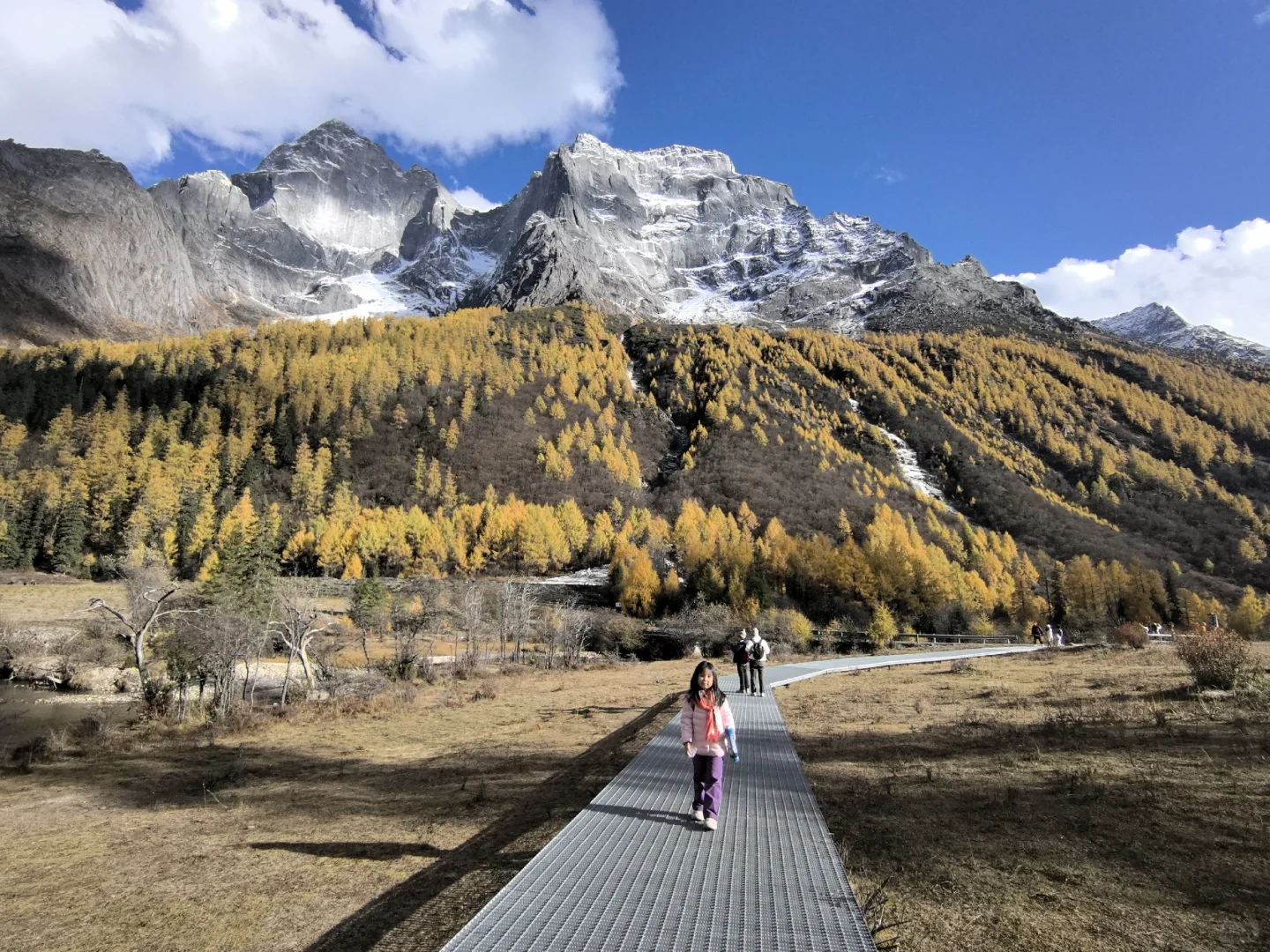 十月底都给我冲四姑娘山!