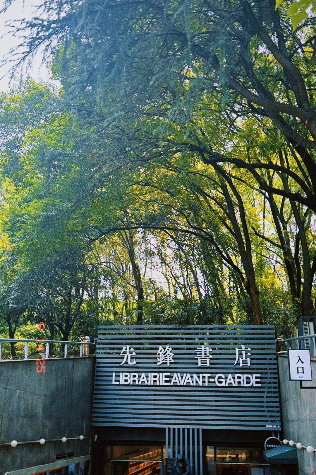 南京｜𝐂𝐢𝐭𝐲 𝐖𝐚𝐥𝐤🚶‍♀️