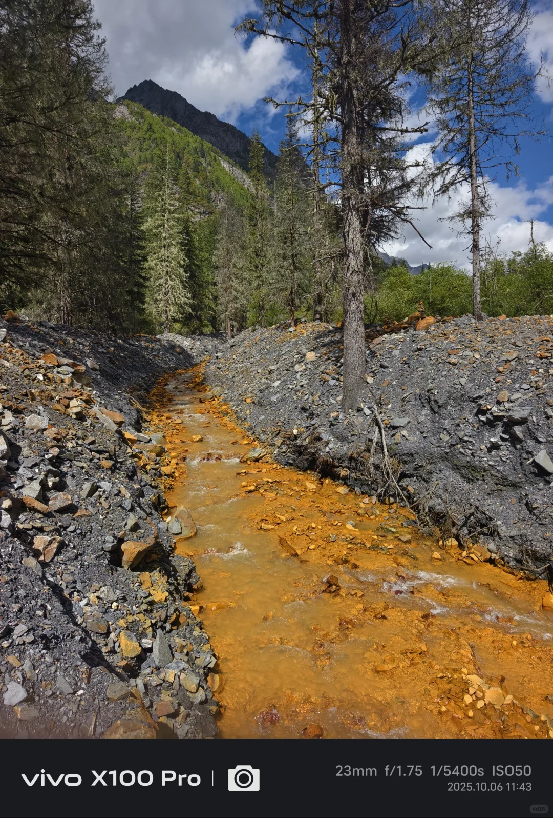一个星期了怎么还在回味