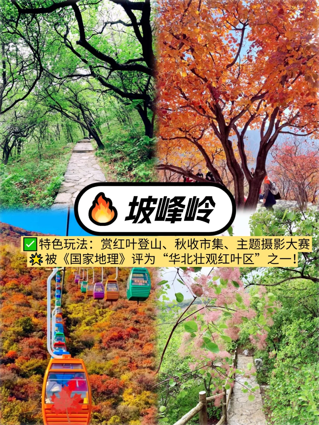 北京秋日团建必看🔥赏秋胜地与创意玩法合集