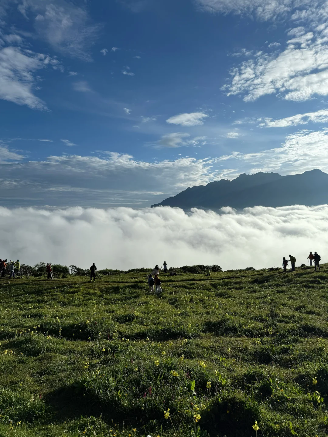九顶山2天1夜！人均300+玩转云海花海！