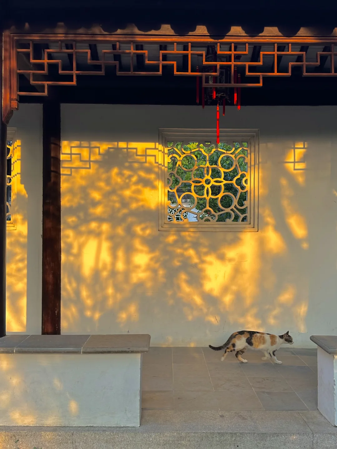 苏轼的人生建议：一定要去趟虎丘❗️