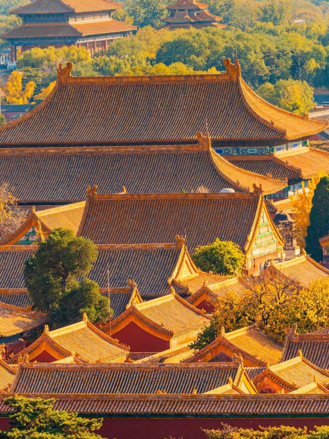 迄今为止❗️我最爱的北京赏秋citywalk 路线