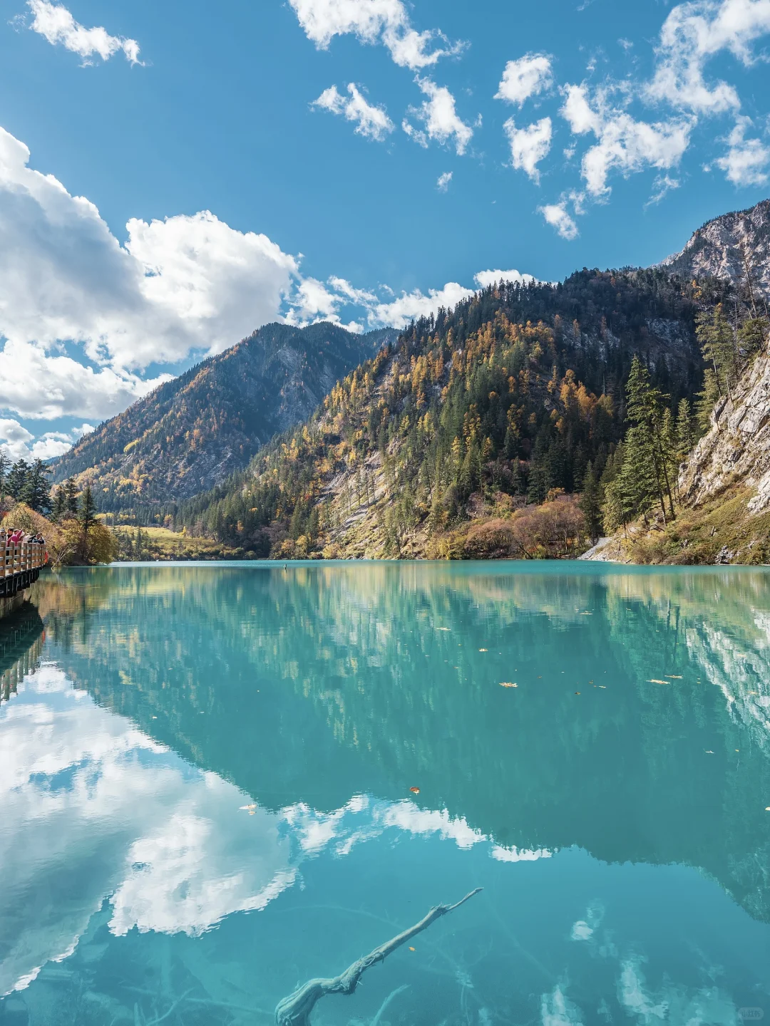 国内赏秋全攻略🍂胜地盘点（上）‼️