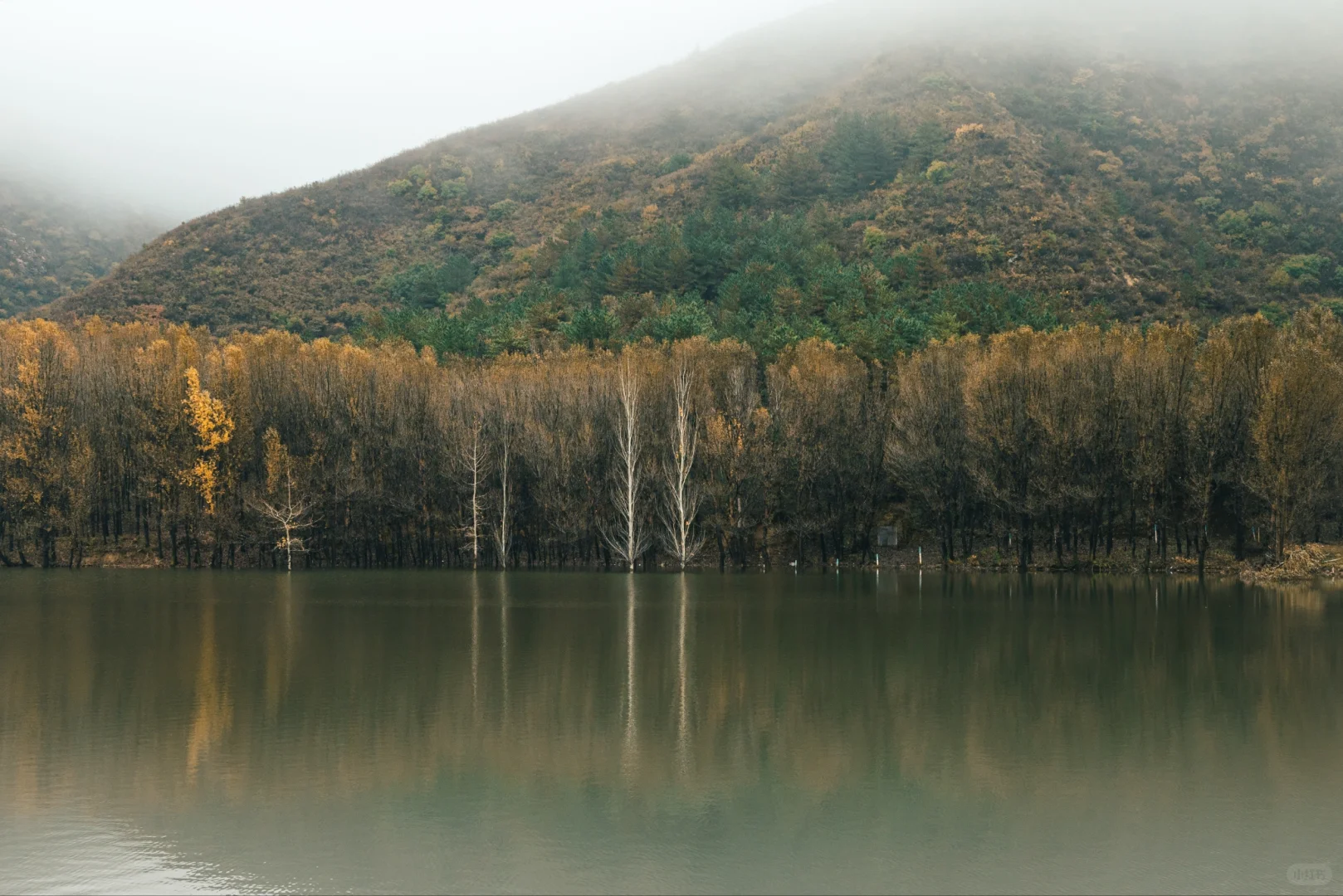 阿尔山平替!张家口这水库秋景美到窒息