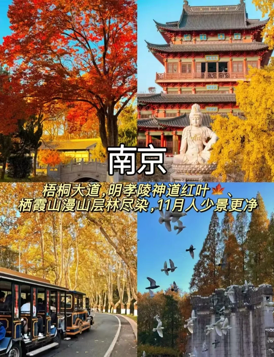 10-12月最适合慢慢品的9座秋日小城