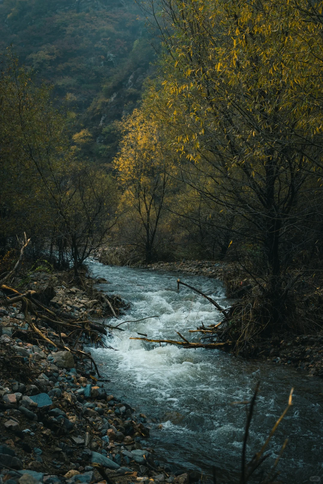 阿尔山平替!张家口这水库秋景美到窒息