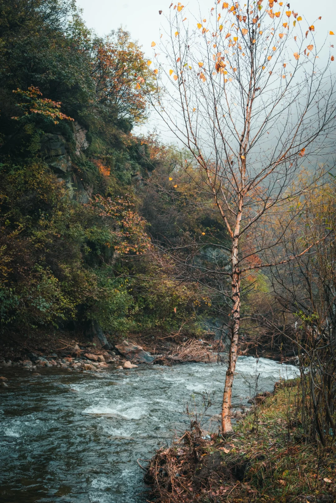 阿尔山平替!张家口这水库秋景美到窒息