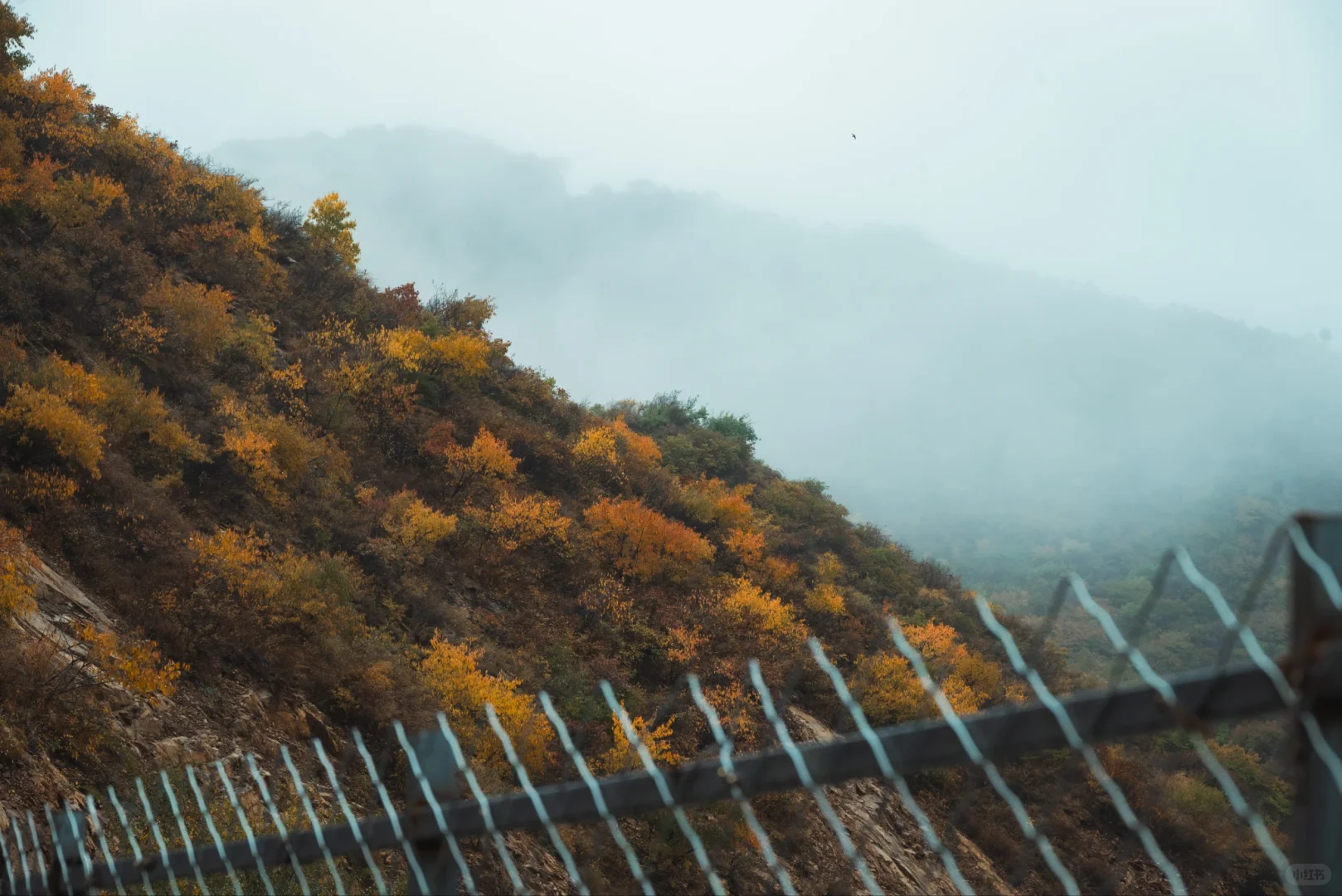 阿尔山平替!张家口这水库秋景美到窒息