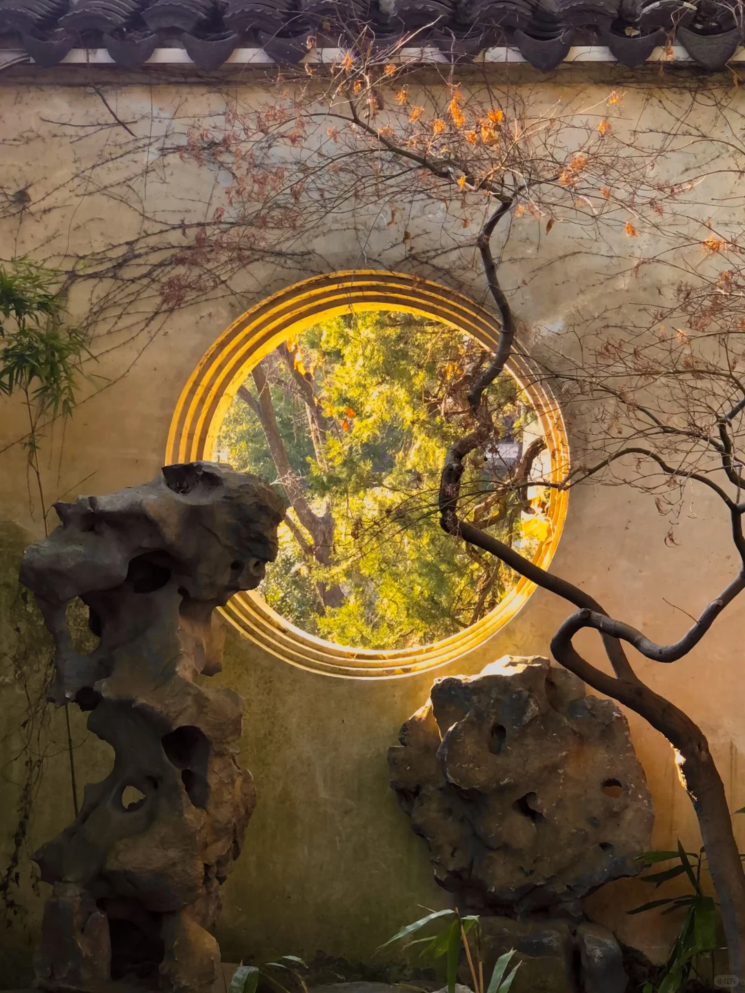 苏轼的人生建议：一定要去趟虎丘❗️